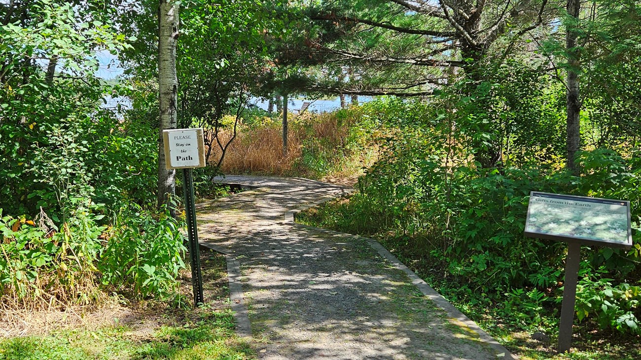 The beginning of the ethnobotanical garden. It goes through a group of trees.