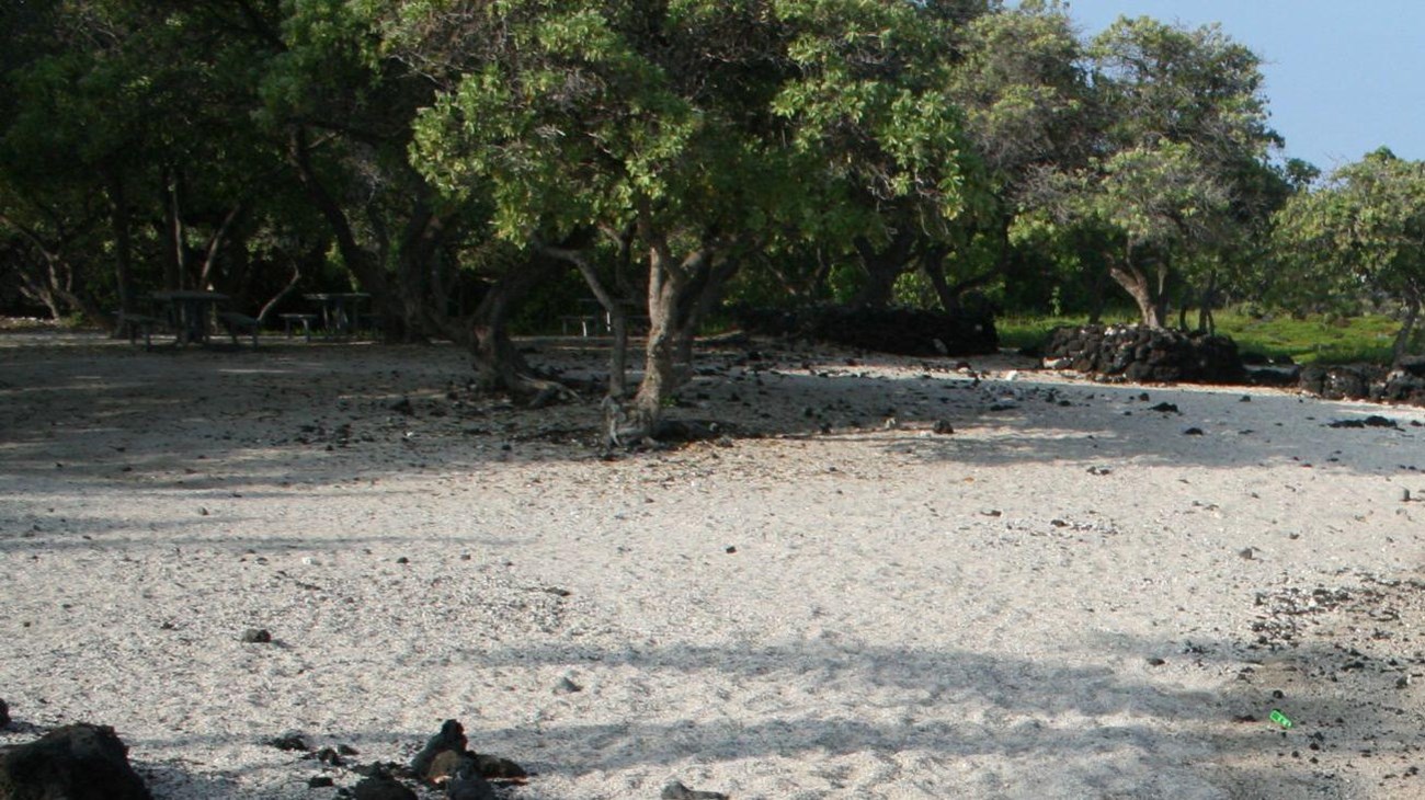 Kaloko FIshpond
