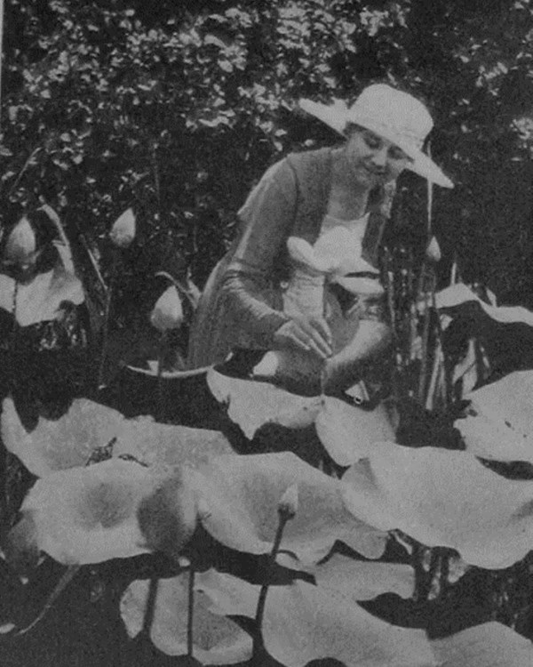 Helen Fowler and Lotuses
