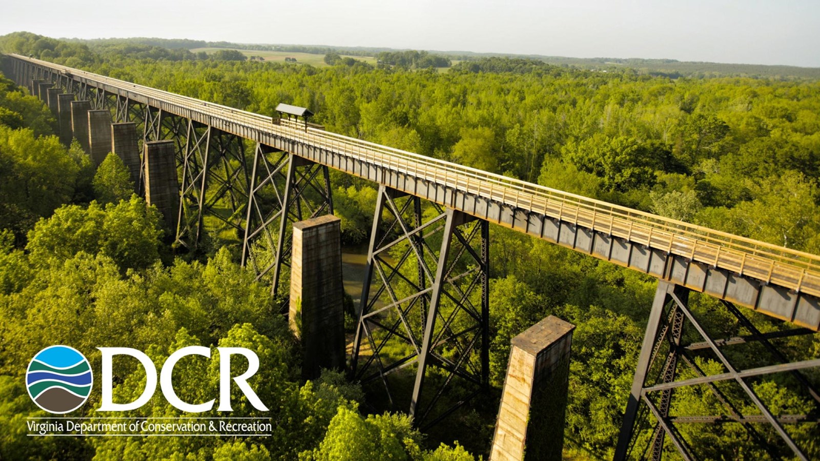 An elevated metal bridge with a wooden walkway spans over a dense green forest.