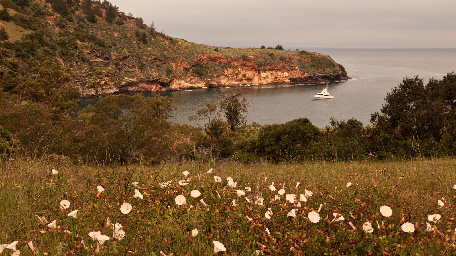 Small, well protected harbor with low rocky bluffs at the entrance rising to steep hillside.