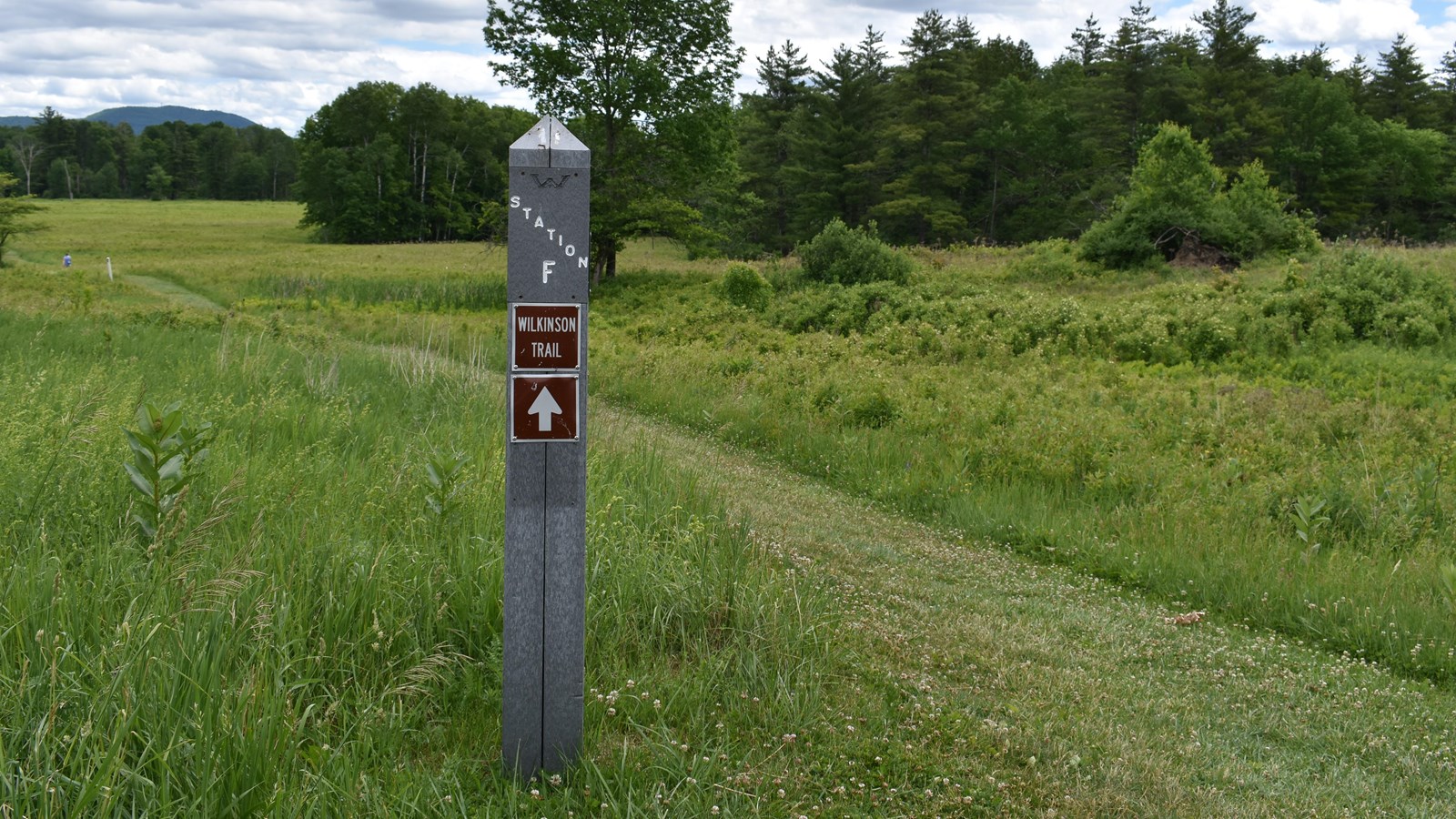 Gray  marker for Station F on the Wilkinson Trail next to a grass path and a field.