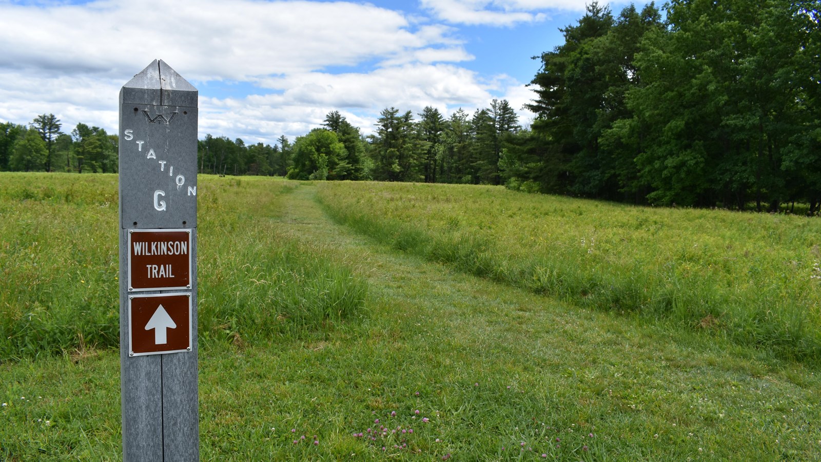 Gray post marker 