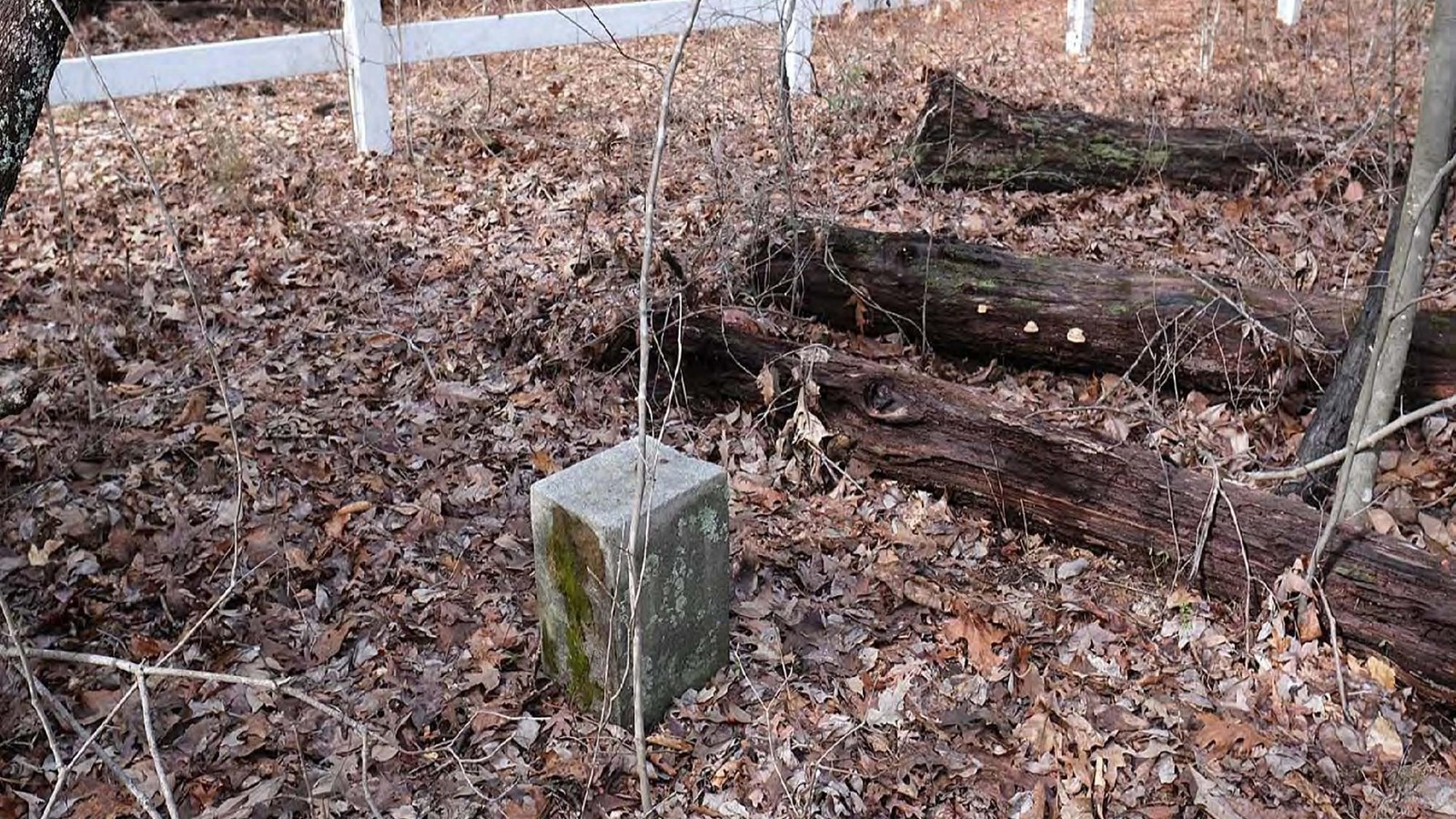 Hickory Hill Slave and African American Cemetery