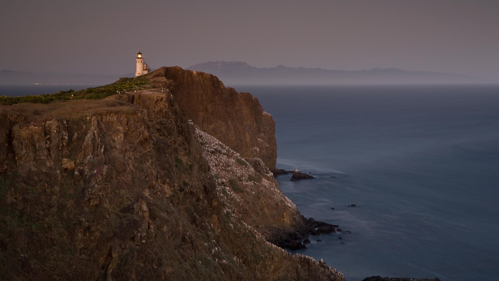 Steep, rugged brown cliffs with white lighthouse and green plants with yellow flowers on top.