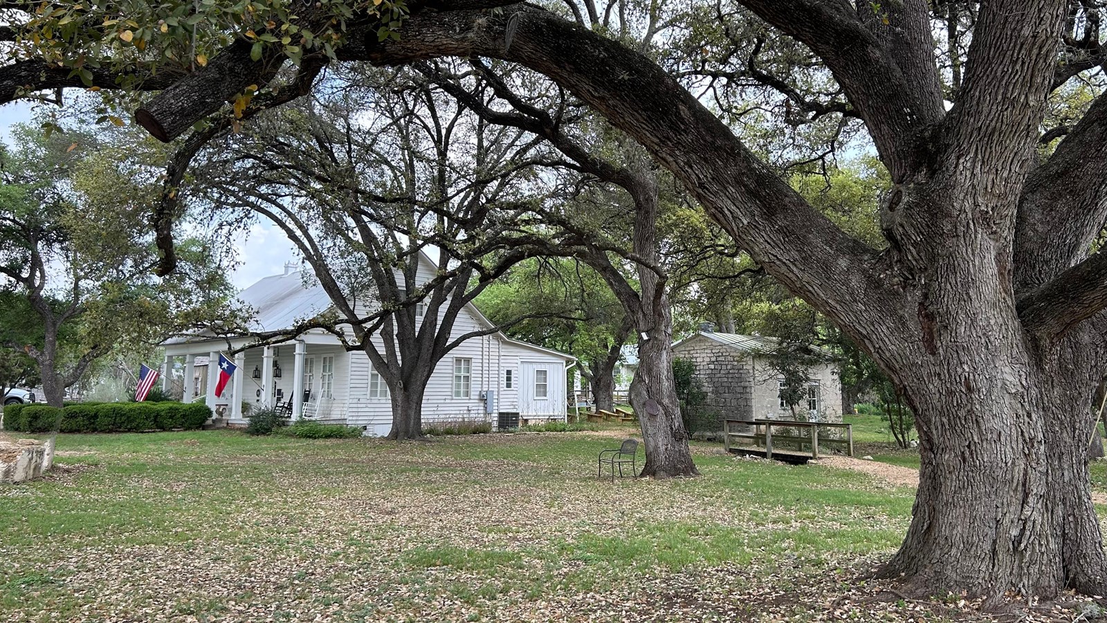 Live Oak branches create a canopy over a grassy field leading to a distant historic, white home.