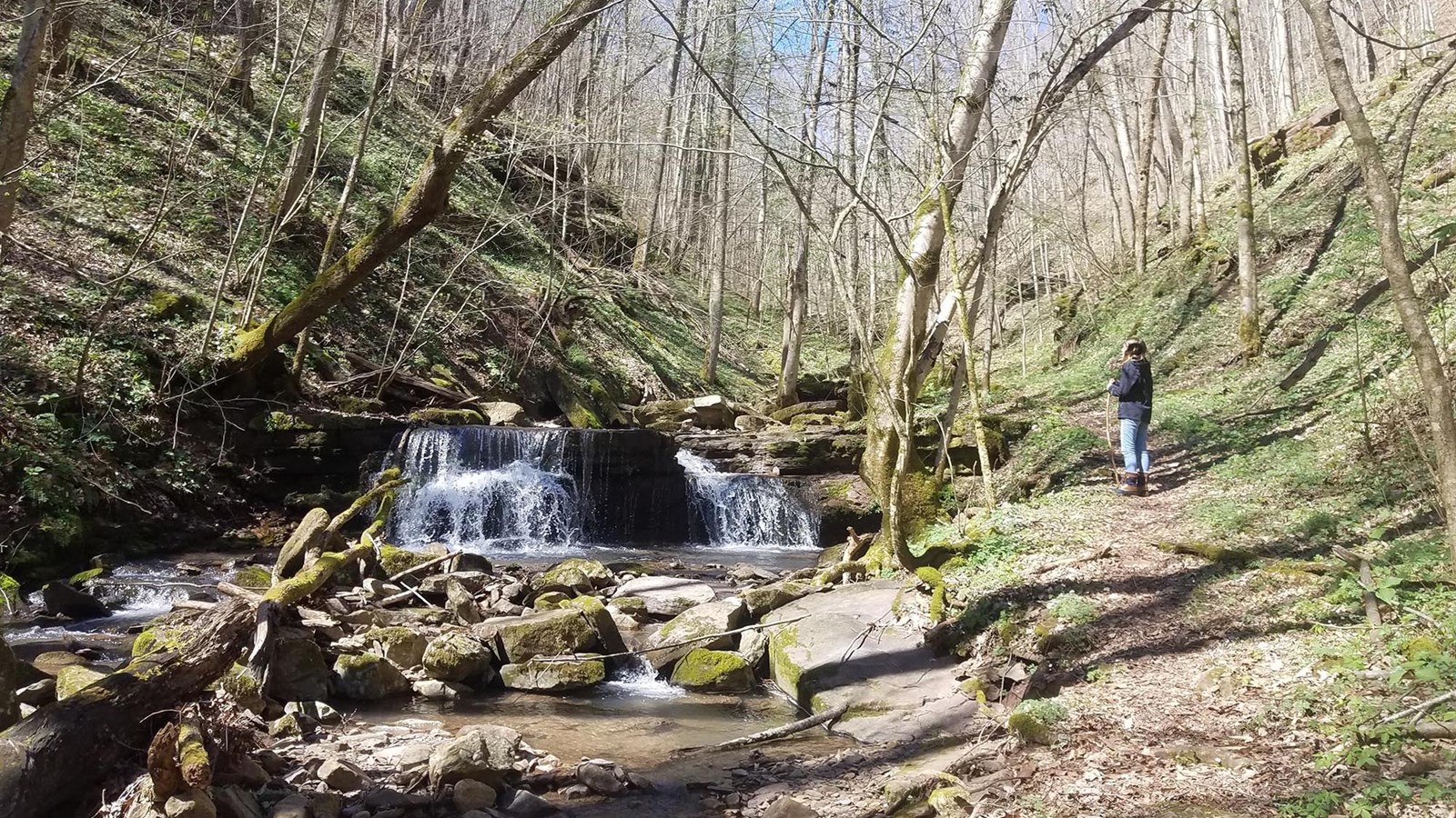Colored photograph of a hiker next to a cascading brook