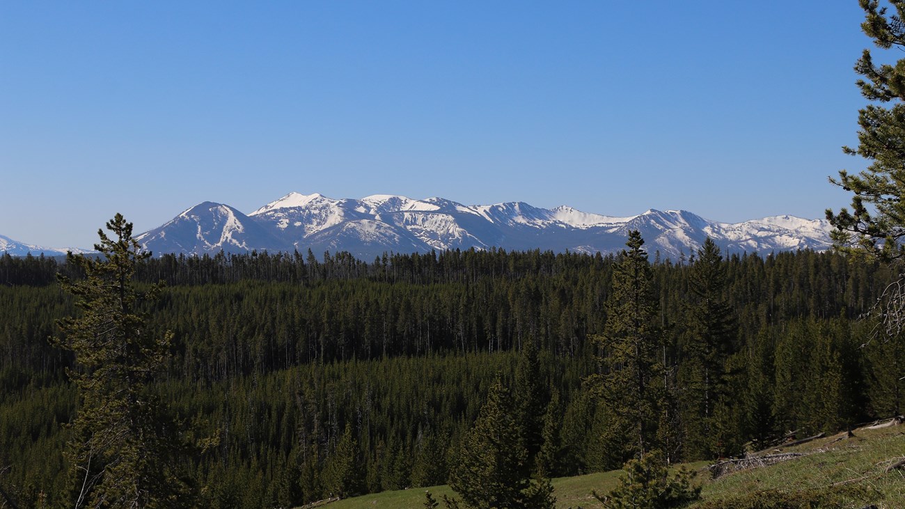 A broad mountain rises above a forested slope.