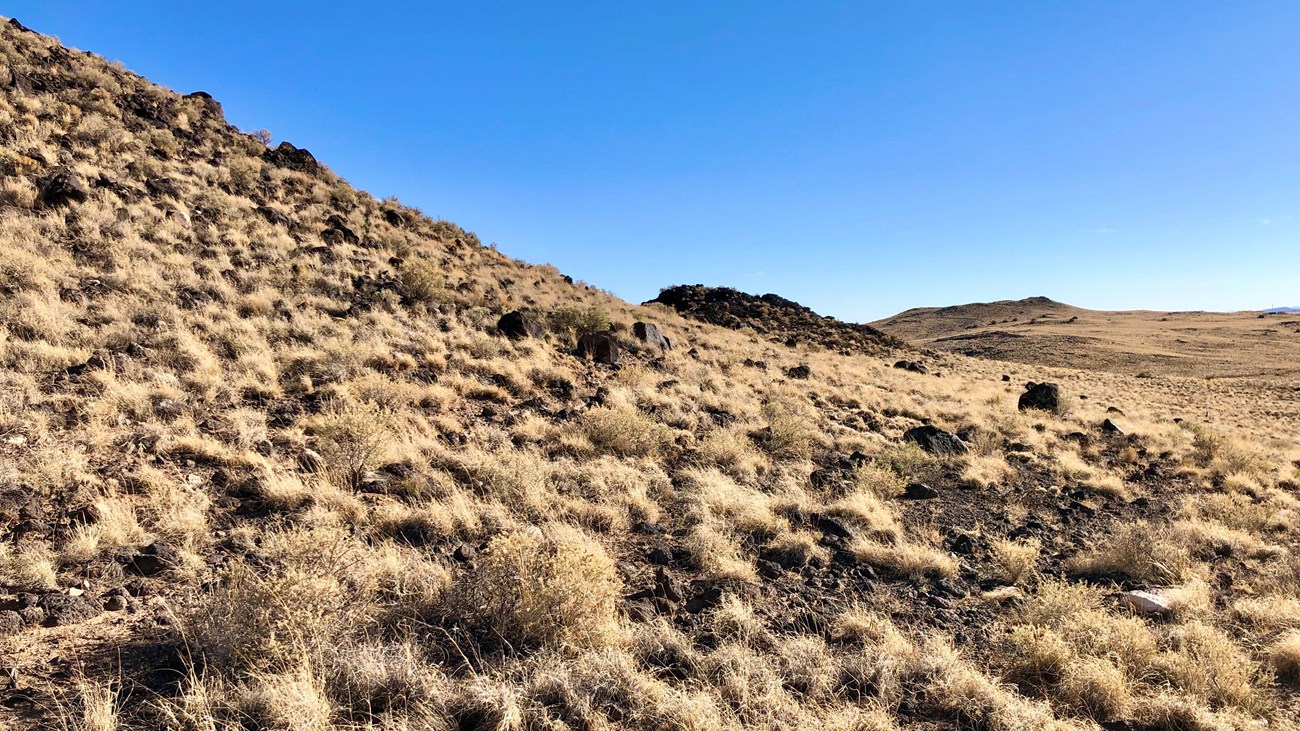 A line of cinder cone volcanoes.