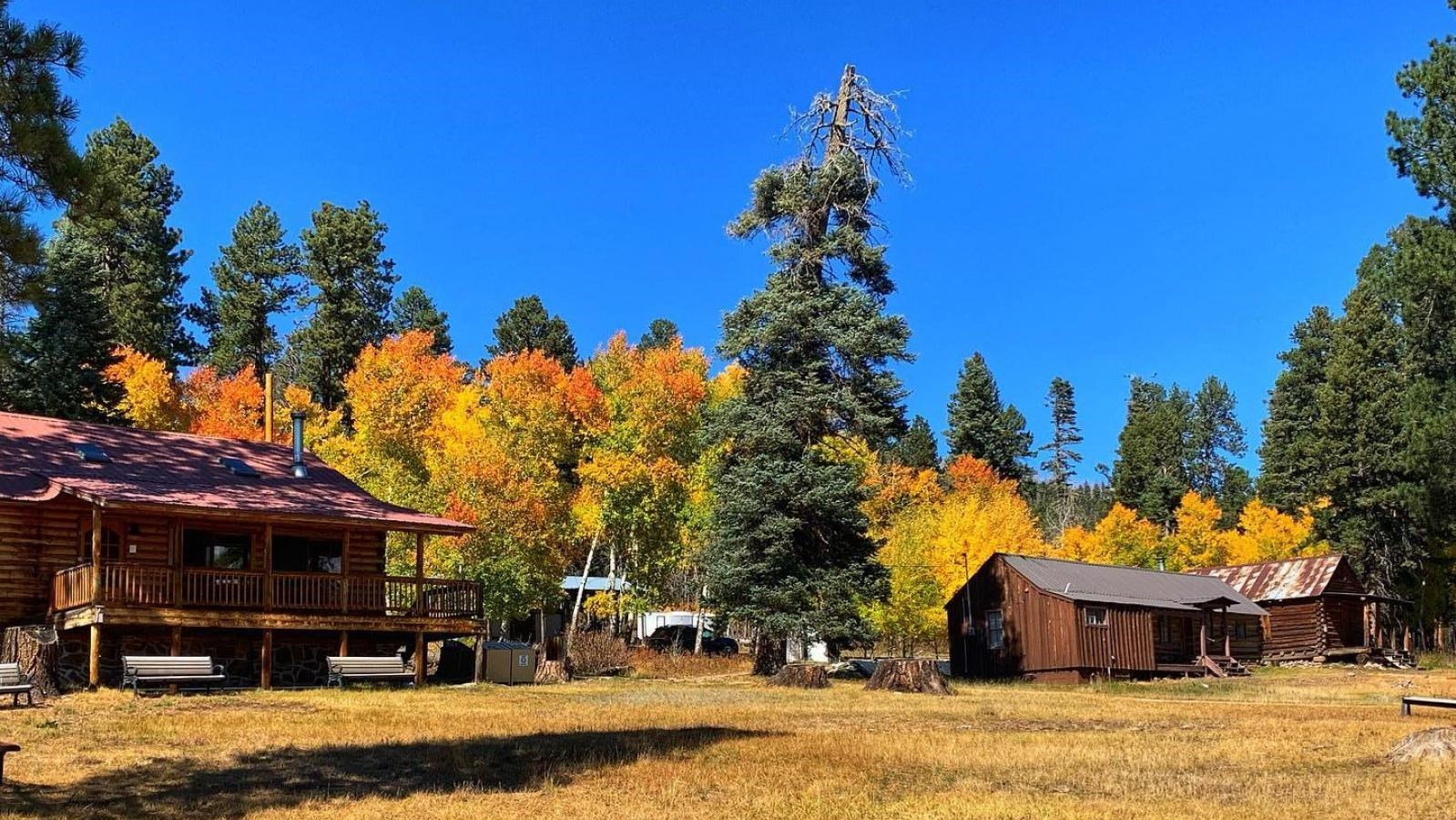 Three wooden cabins with front porches. Yellow and orange aspen trees and blue sky in the background