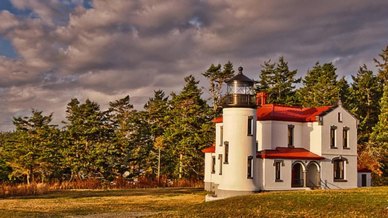 Lighthouse building on grass with forest behind.