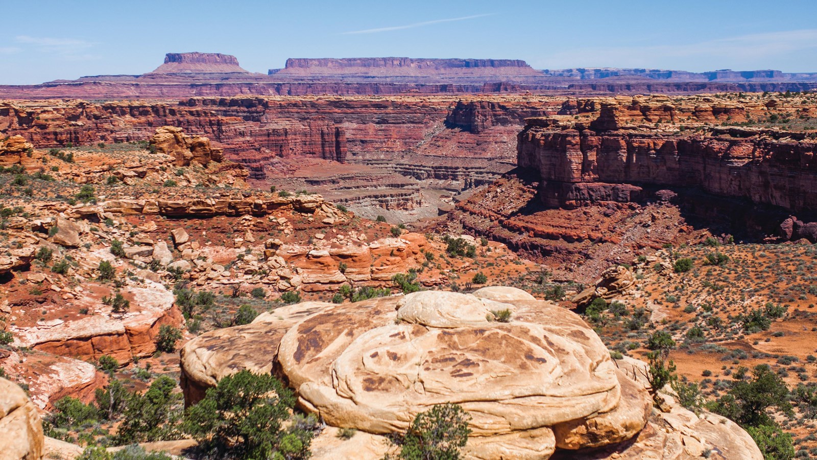 A sweeping view of multicolored sandstone canyons on a bright, clear day.