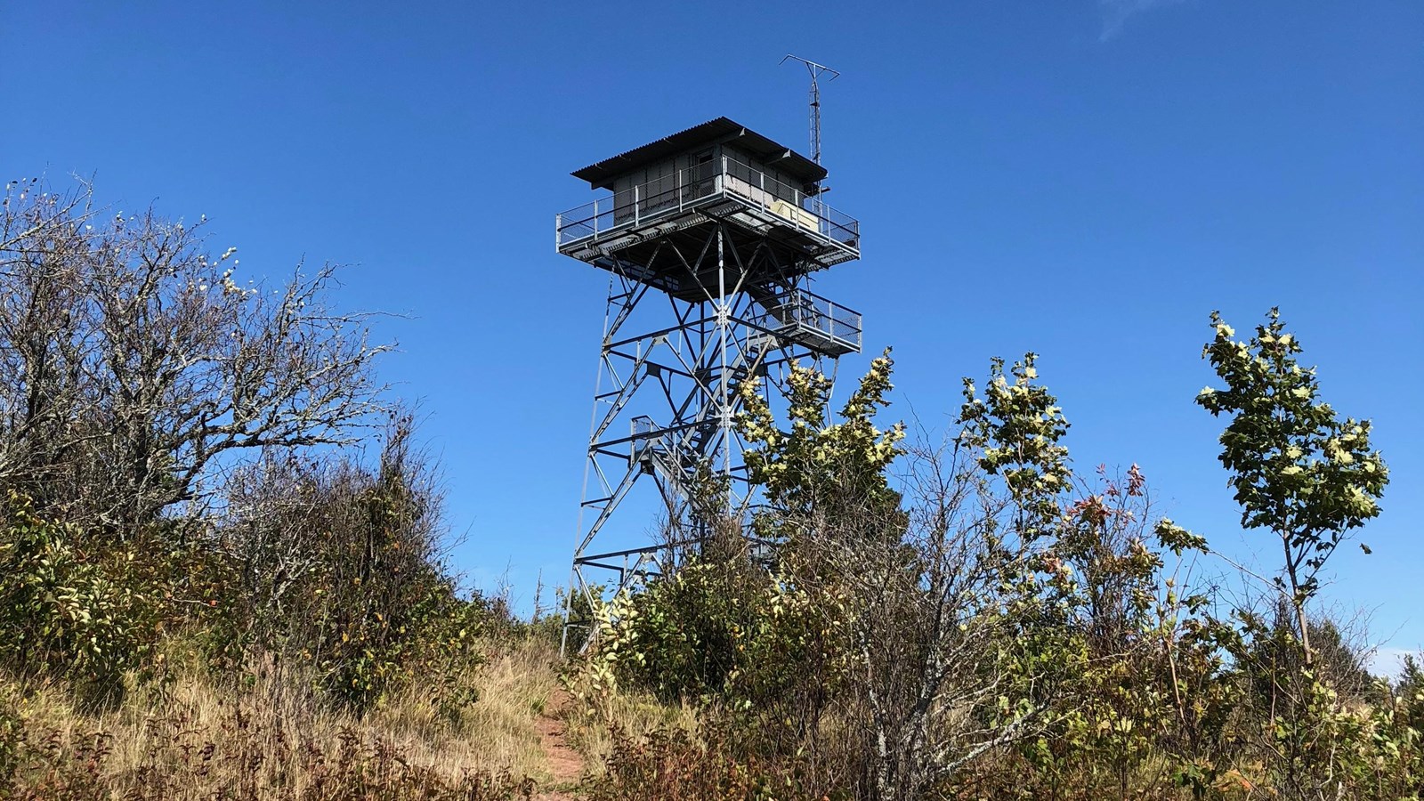 Fire tower stands in tall grass surrounded by trees. 