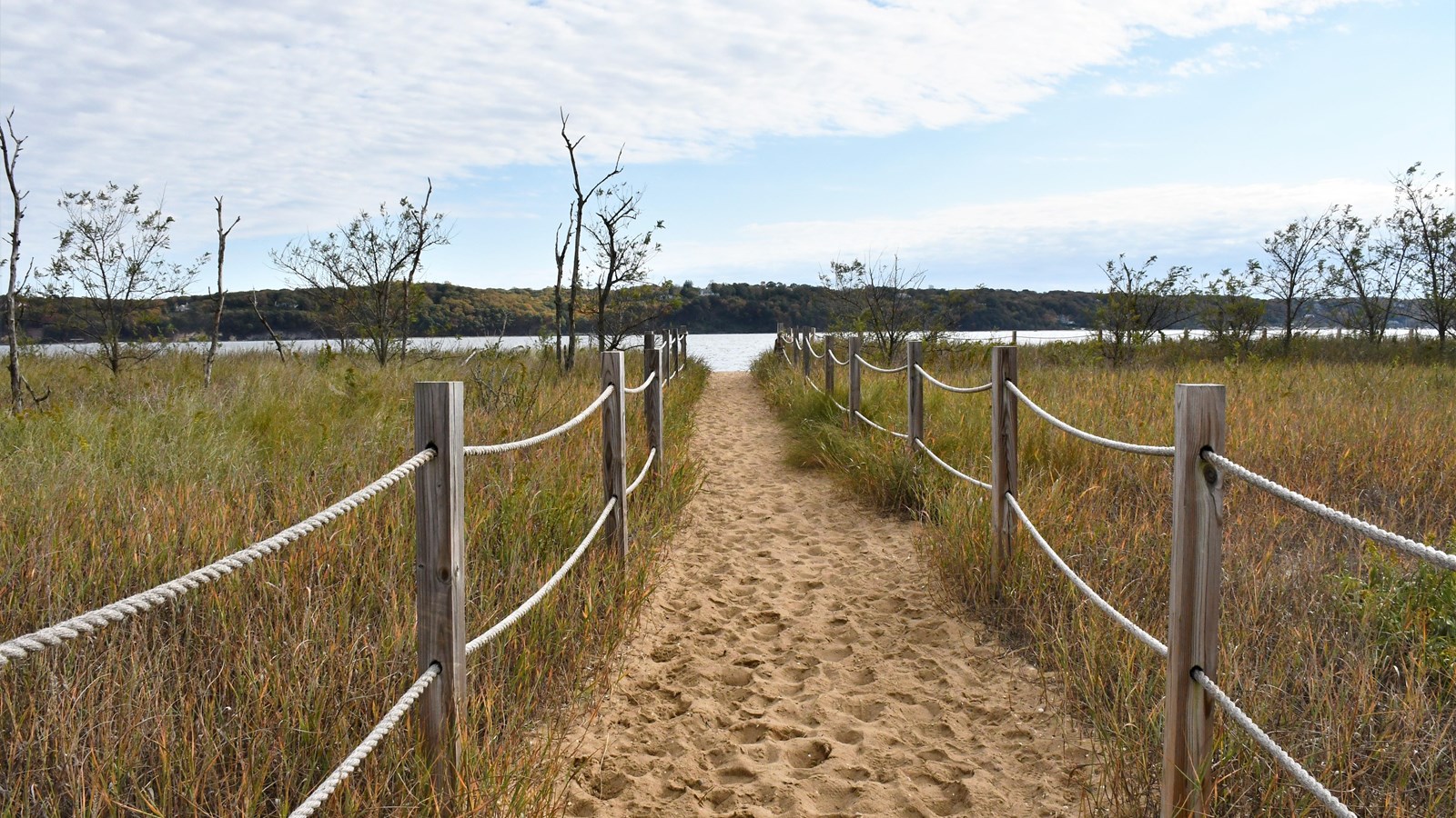 A sandy path leading to a beach with rope fencing and grass on either side of the path.