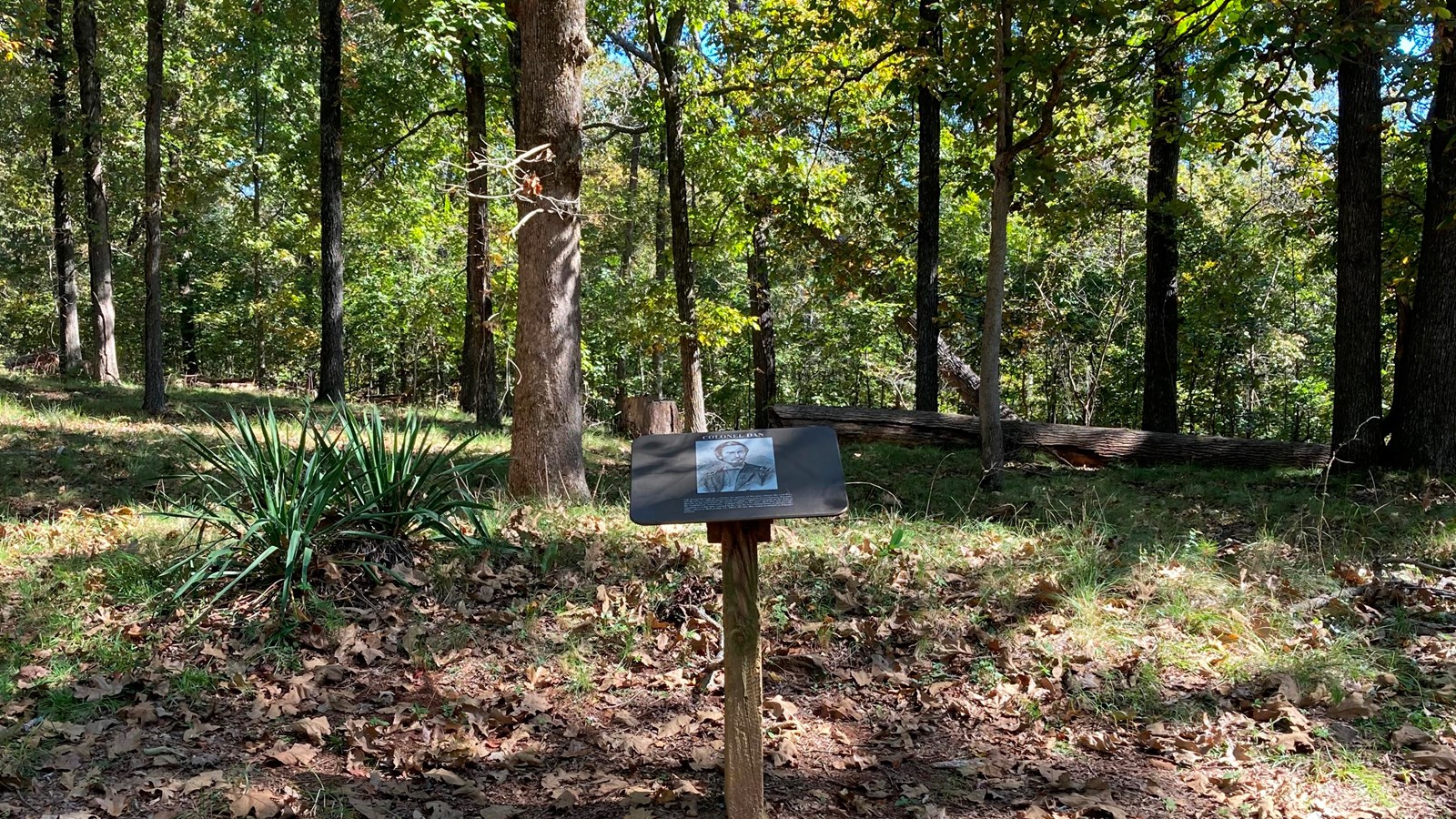 A free standing sign on a wooden post stands at the edge of a trail. The sign is brown and black