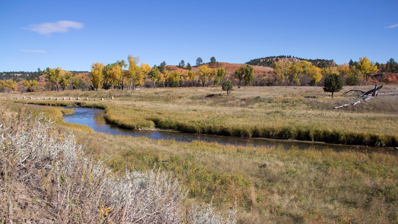 a blue river winds through prairie, with cottonwood trees and red cliffs in the background