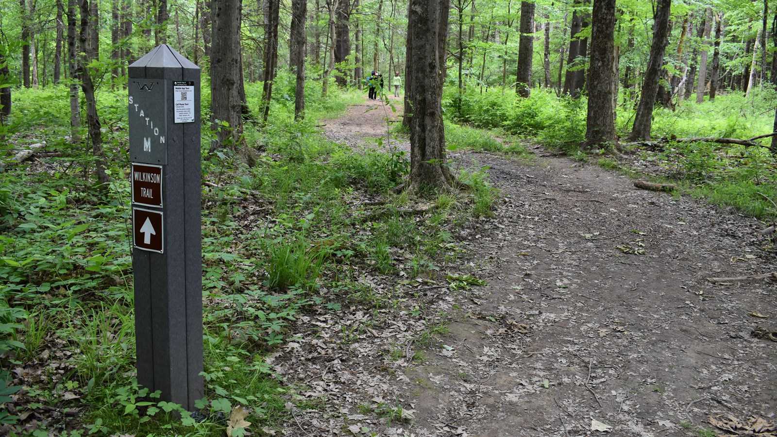 Gray marker post, 