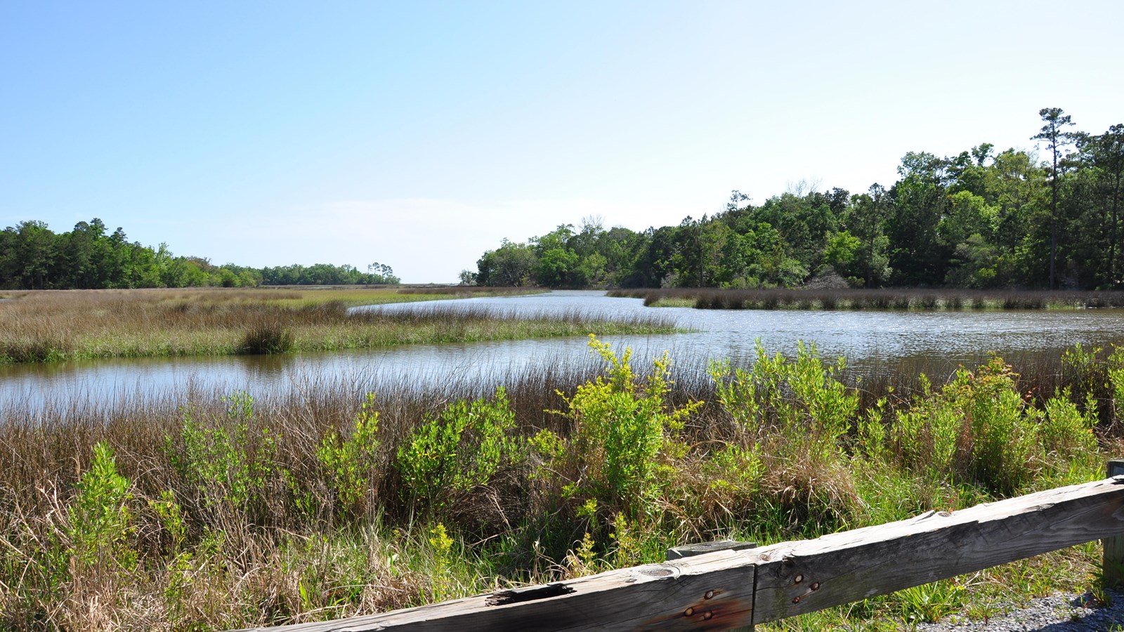 A wooden railing stands in front of dense vegetation and blue bayou.