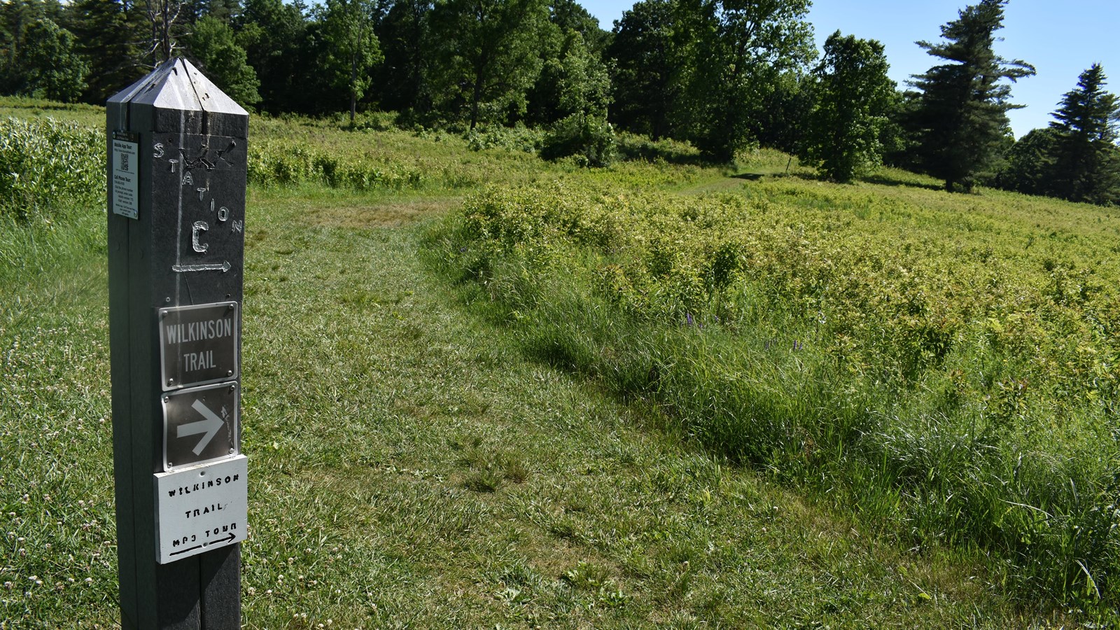 Gray marker post, 