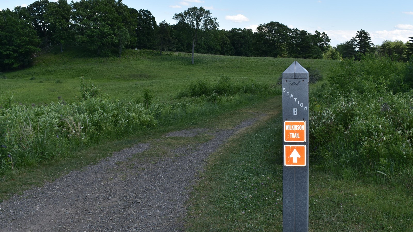 Gray marker post,