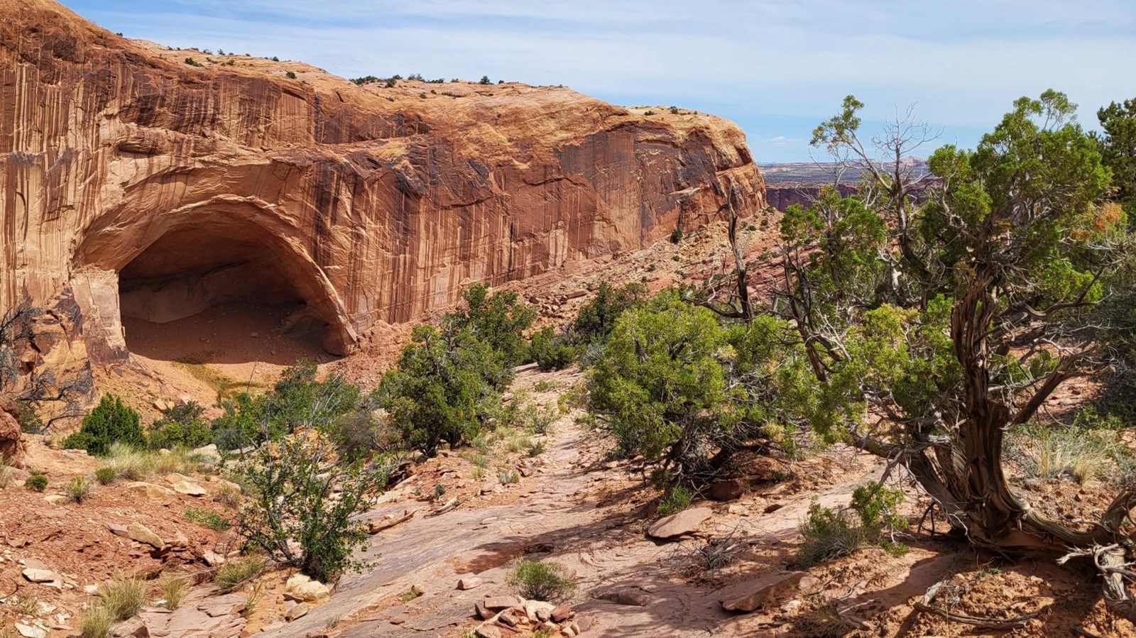 A large shaded alcove underneath a streaked sandstone wall