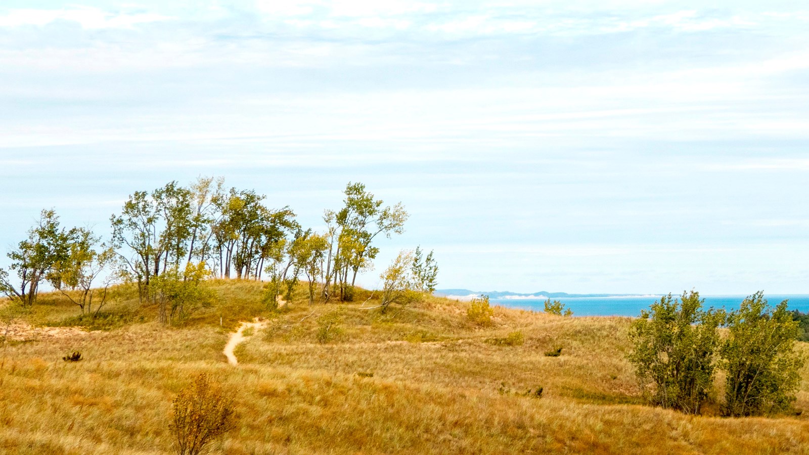 Thin trail on a yellow-vegetated dune winds towards a grove of small trees and a blue lake