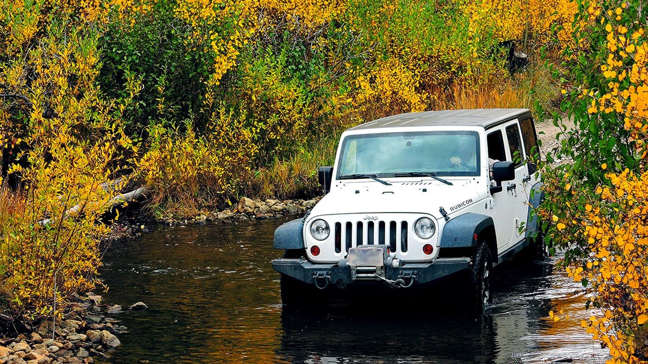 A white Jeep crosses a creek surrounded by gold aspen trees