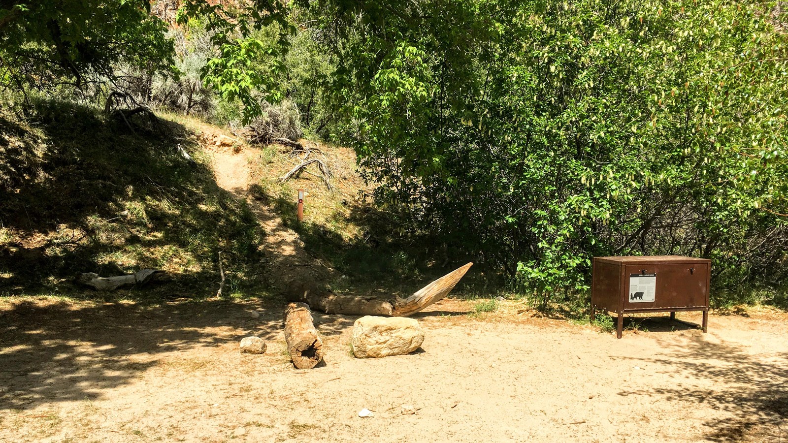 A barren patch of dirt for tents with a bear locker and logs for sitting.