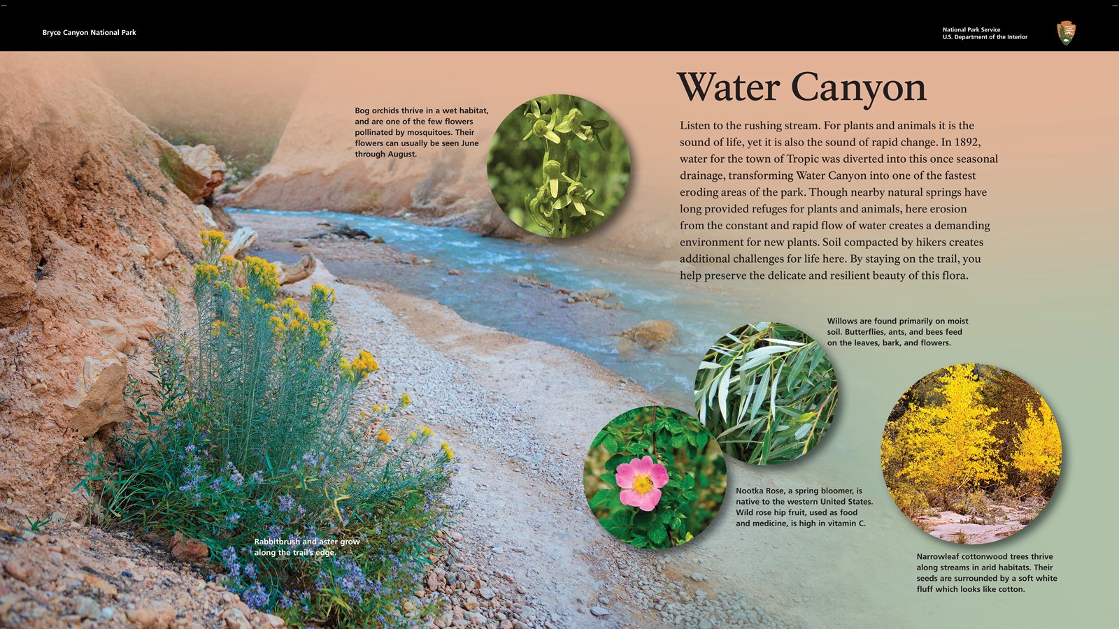 A wayside exhibit explaining how water flowing here creates a unique oasis uncommon in the desert.