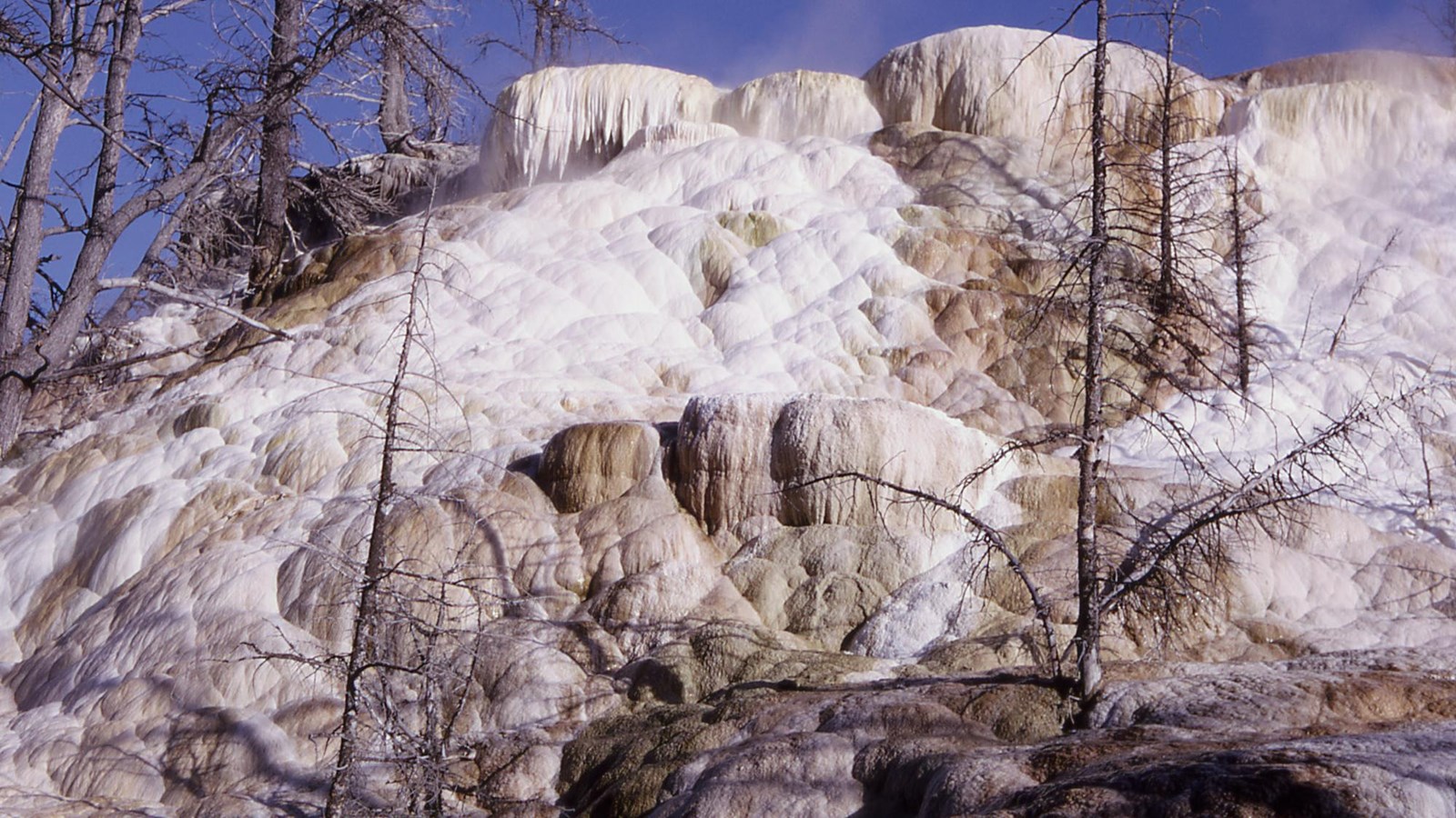 A cascade of white travertine terraces with water flowing over them.