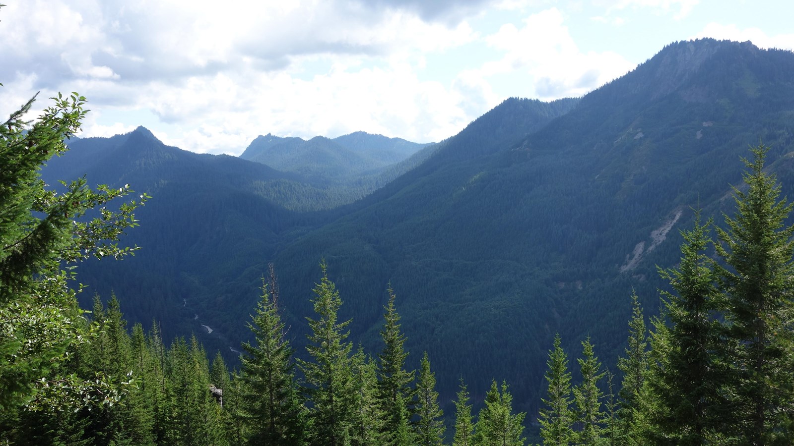 A view of a forested river valley and surrounding mountain peaks. 