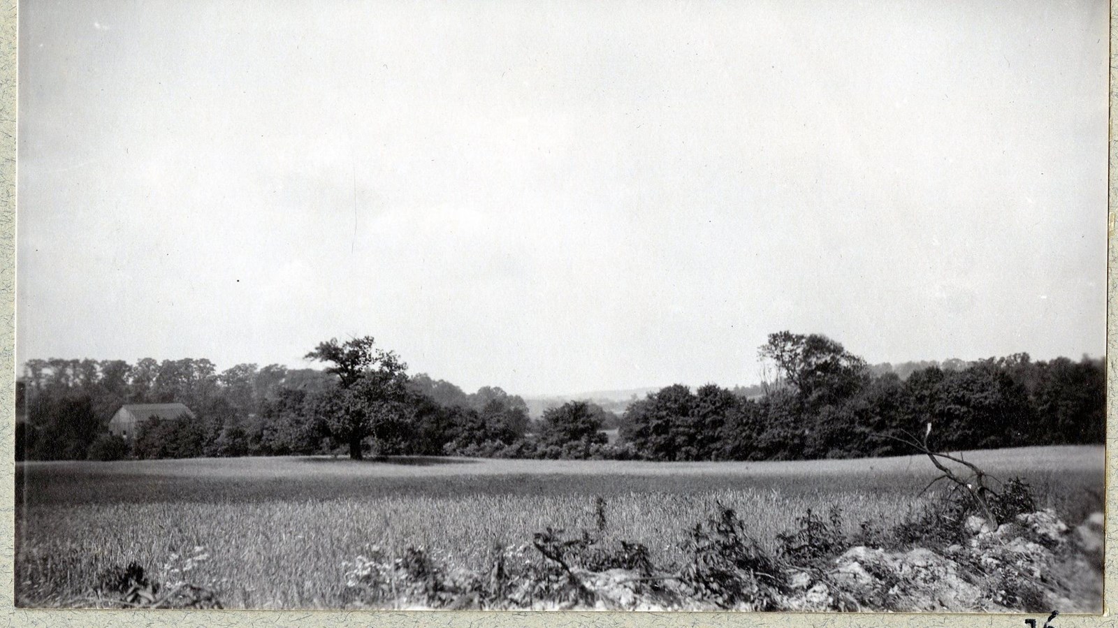 Black and white of flat grassy area with line of trees on the edges with a building in the trees