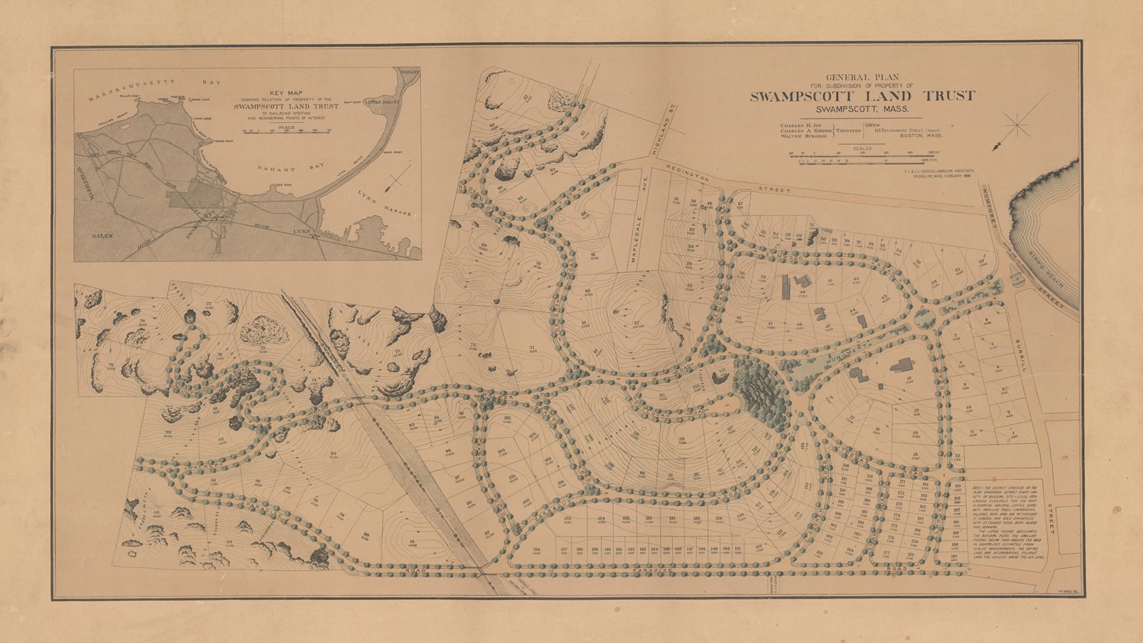 Plan of community with curving tree lined roads through it with lots for homes