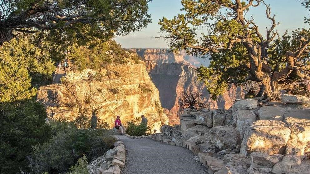 A paved path lined by white limestone and pine trees disappears down a slope in the distance.