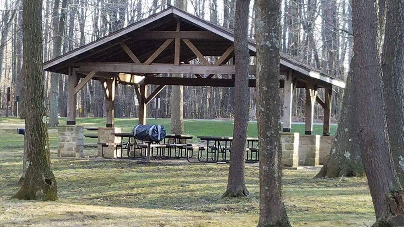 Picnic tables covered by a pavilion