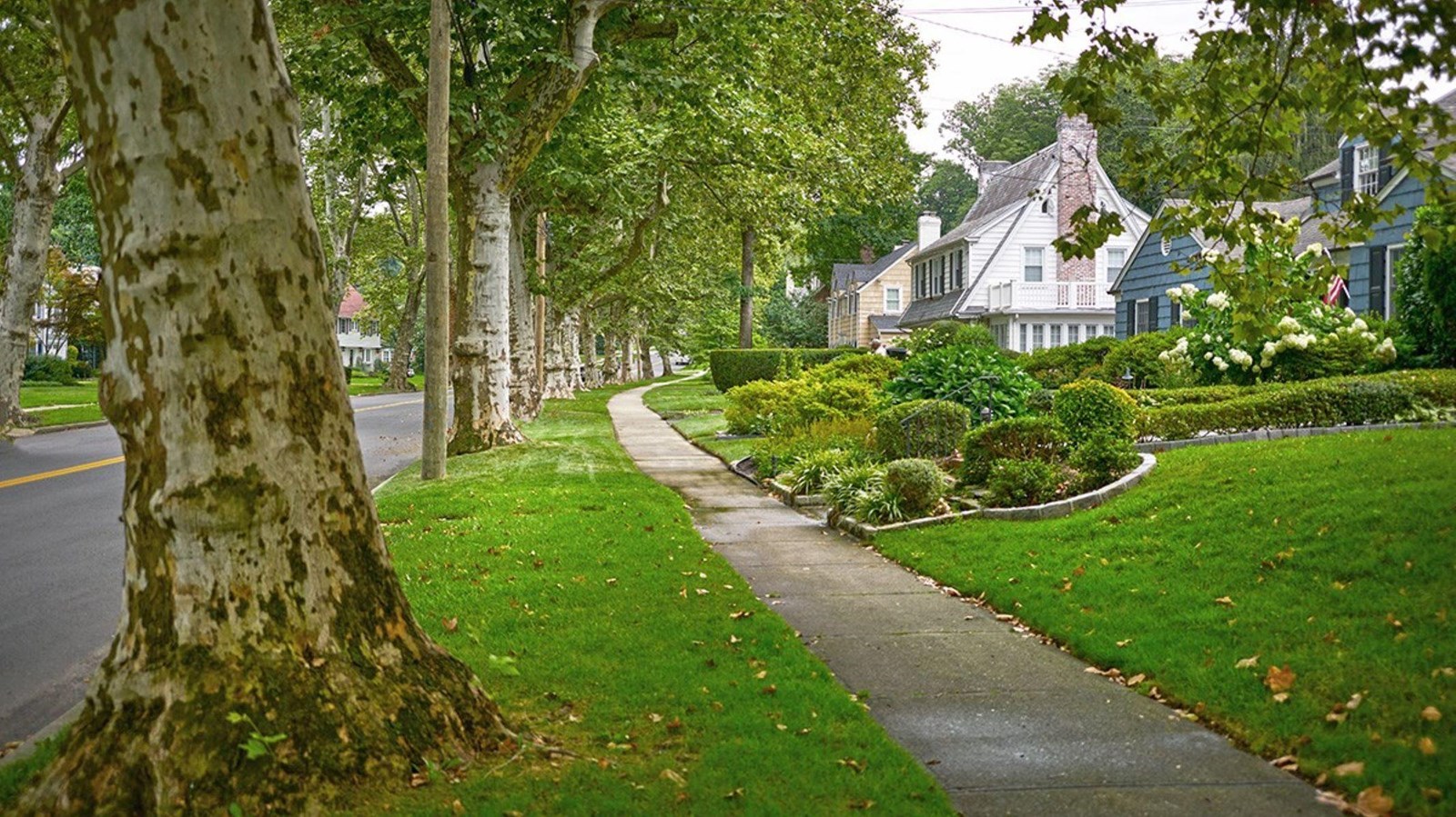 Munsey Subdivision (U.S. National Park Service)