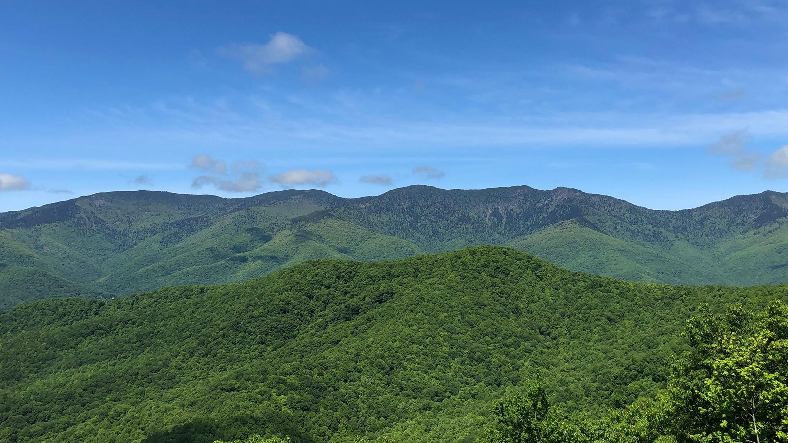 Lush, forested mountains stand uninterrupted beneath a blue sky