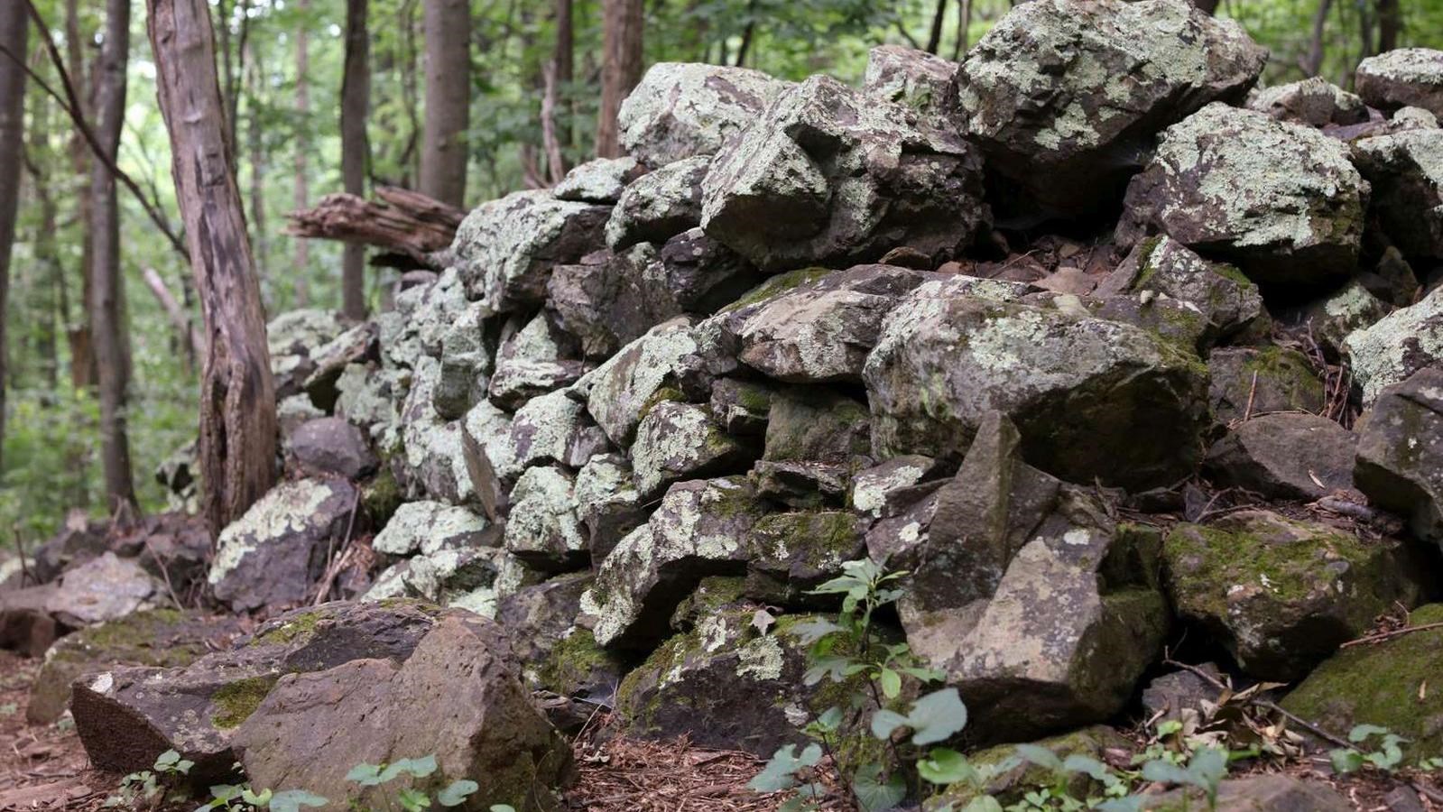 A color photograph of a pile of lichen-covered rocks making up a short wall in the forest.
