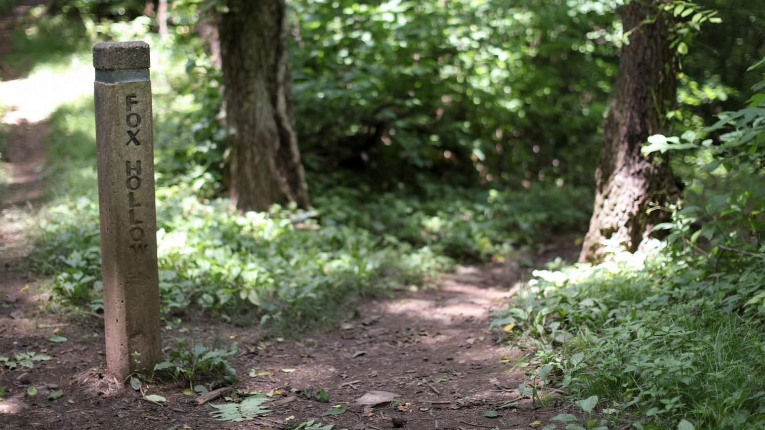 A color photograph of a concrete trail post at a fork in a narrow forested trail.