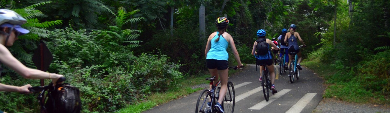 Bicyclists with helmets ride along a paved wooded trail lined with trees.