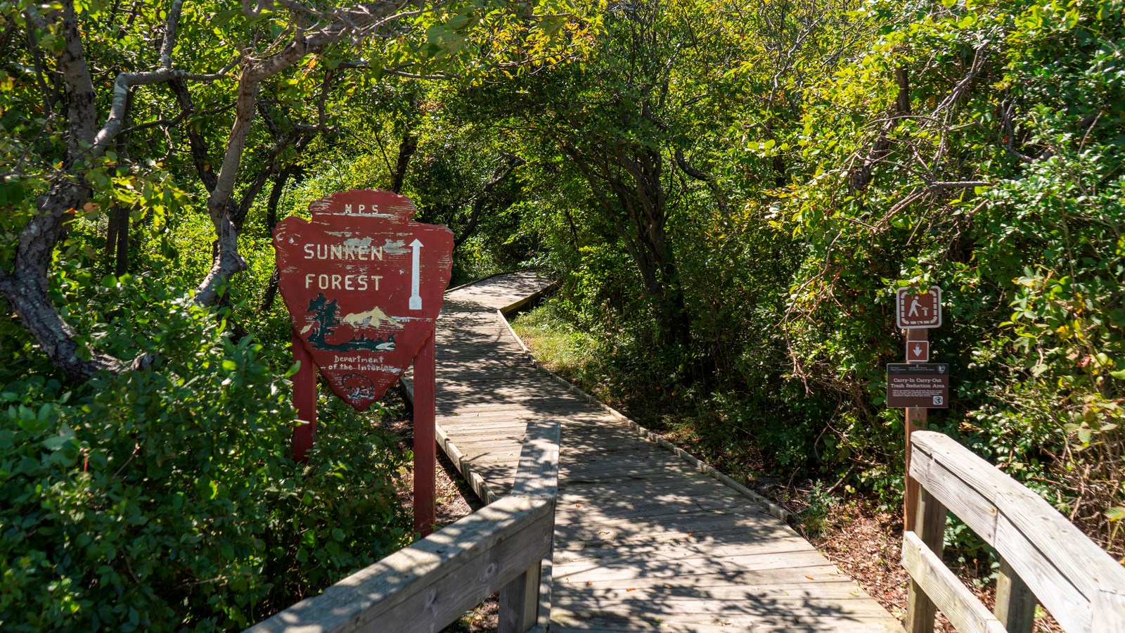 A trailhead in front of a boardwalk trail reads