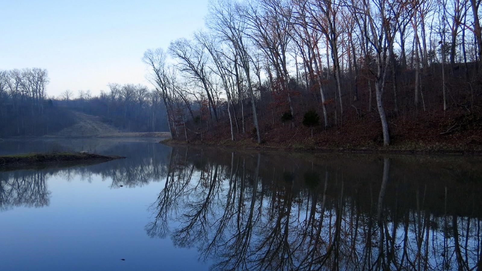 Leafless trees reflected on a the calm surface of a lake