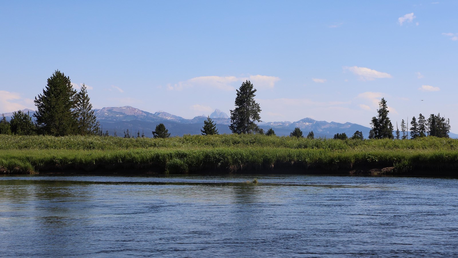 A river flows along a bank covered in tall grasses. A mountain range rises in the distance.