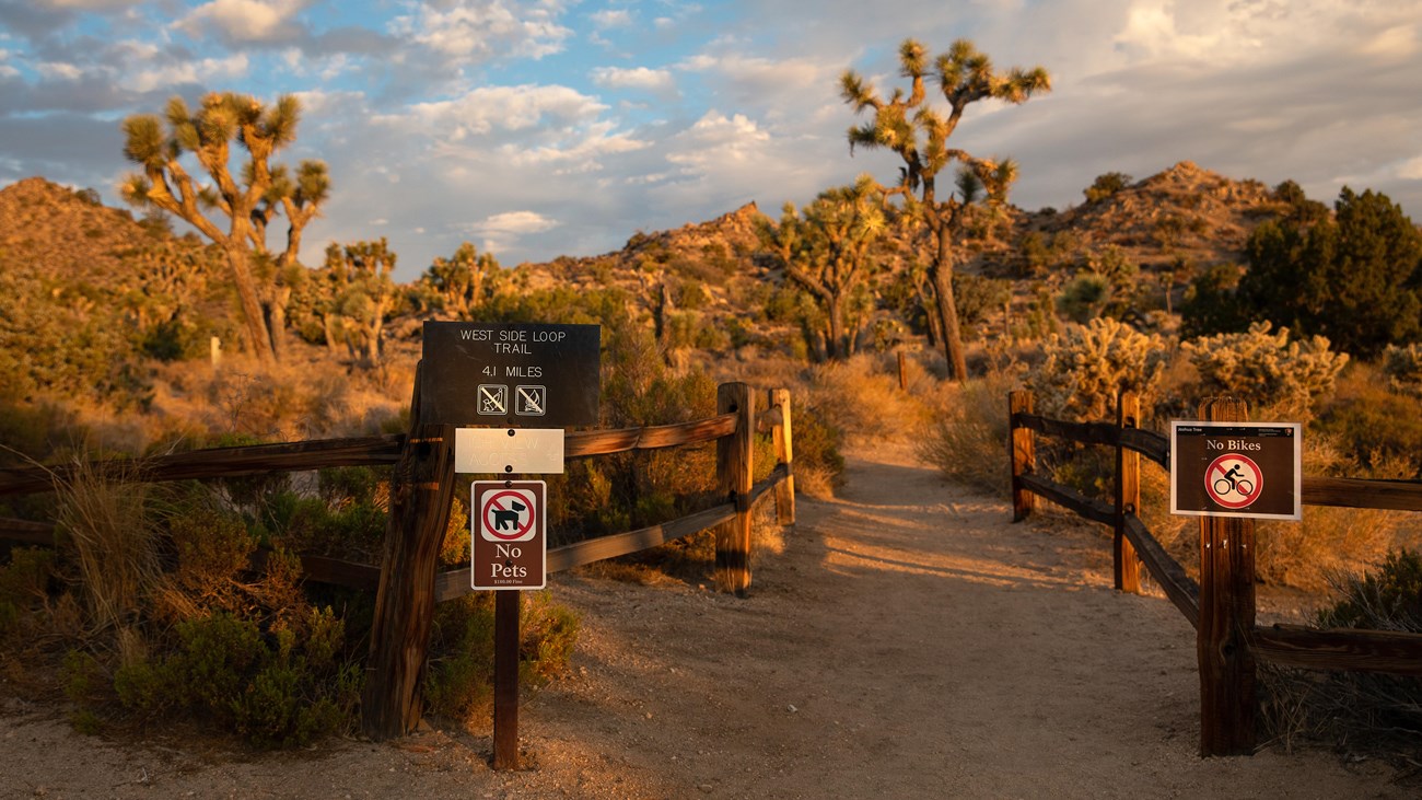 Sign for the trailhead for the West Side Loop with mountains and desert vegetation in the background