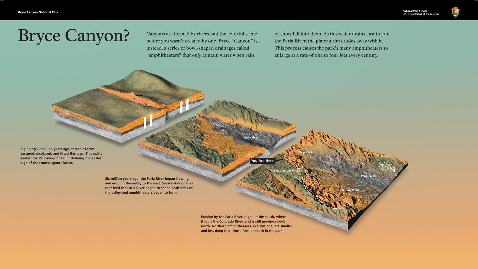 A wayside exhibit explaining how this area is changing.