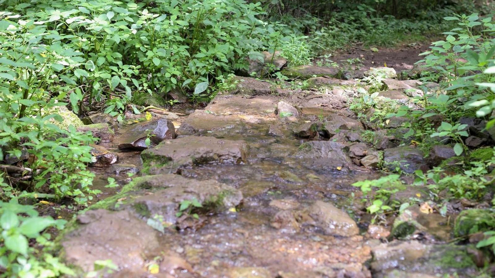 A color photograph of shallow water crossing over stones.