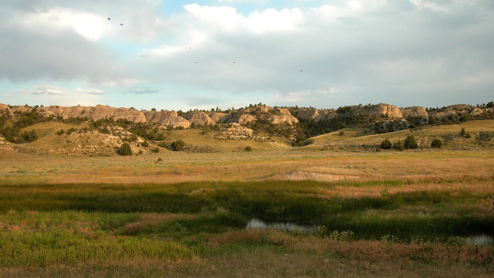 A cloudy sky hangs over ragged, buff-colored bluffs. A meadow spreads from the foot of the bluff.