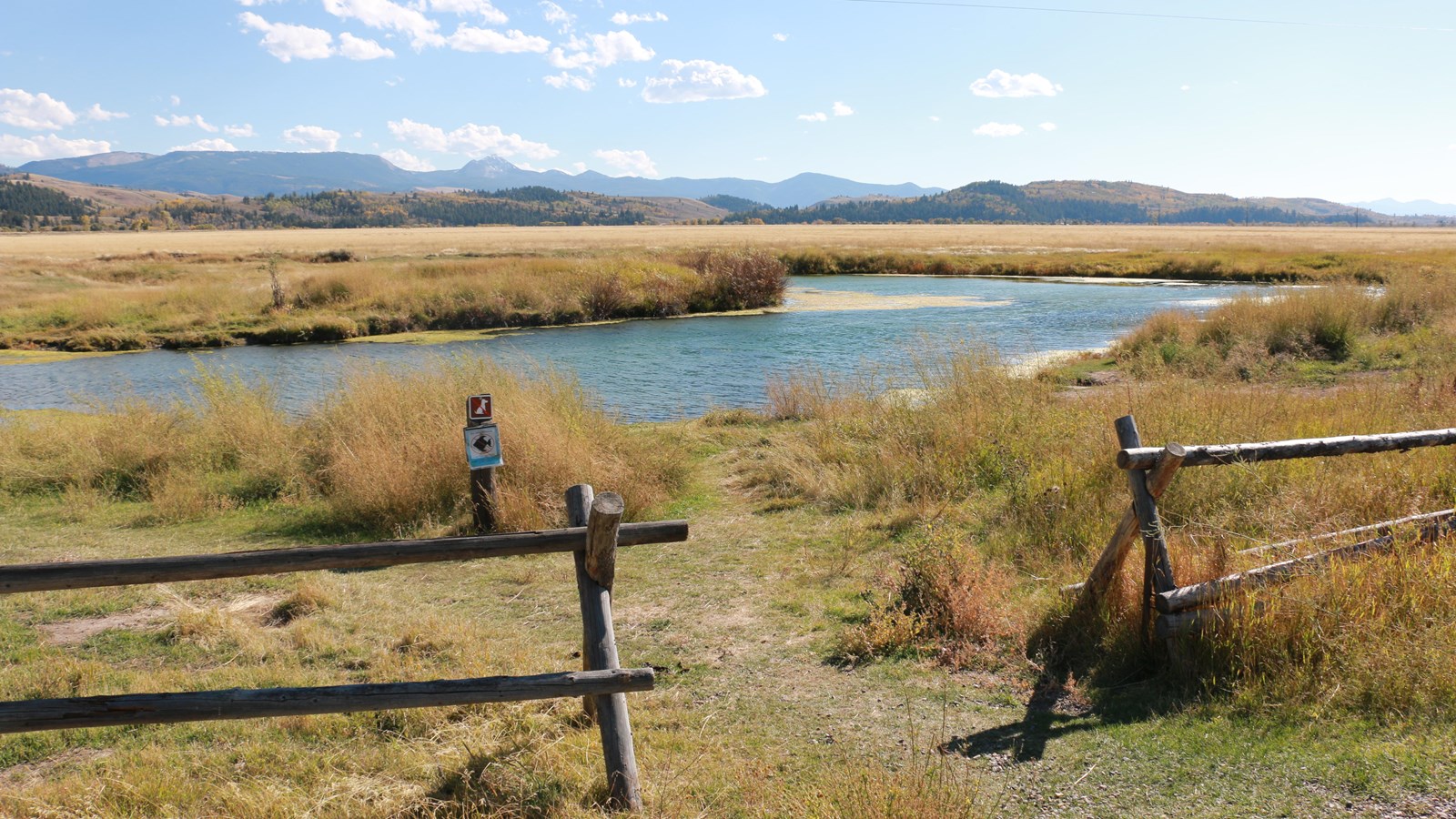 Long grass surround a hot water spring. A buckrail fence is the foreground.