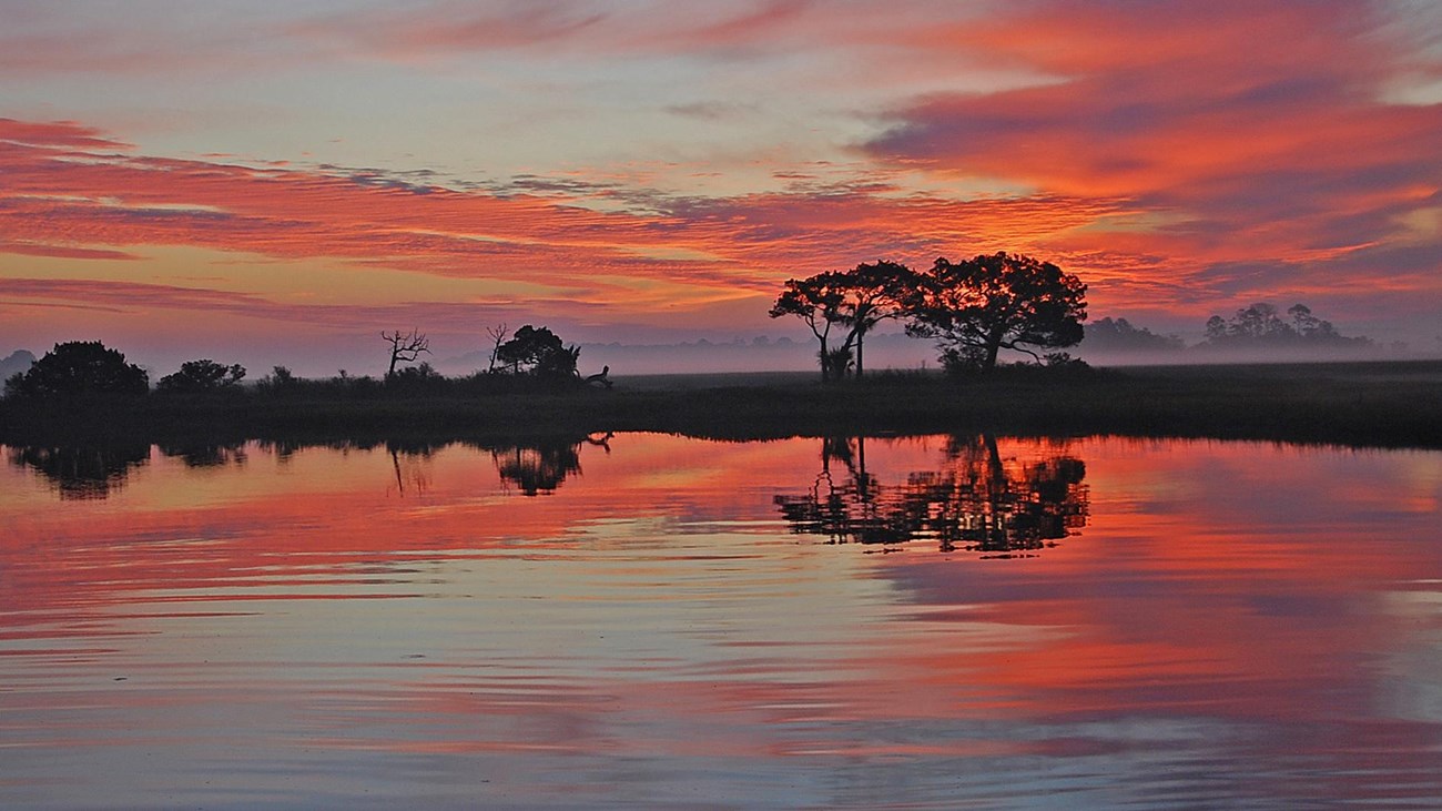 red sunrise through trees over water