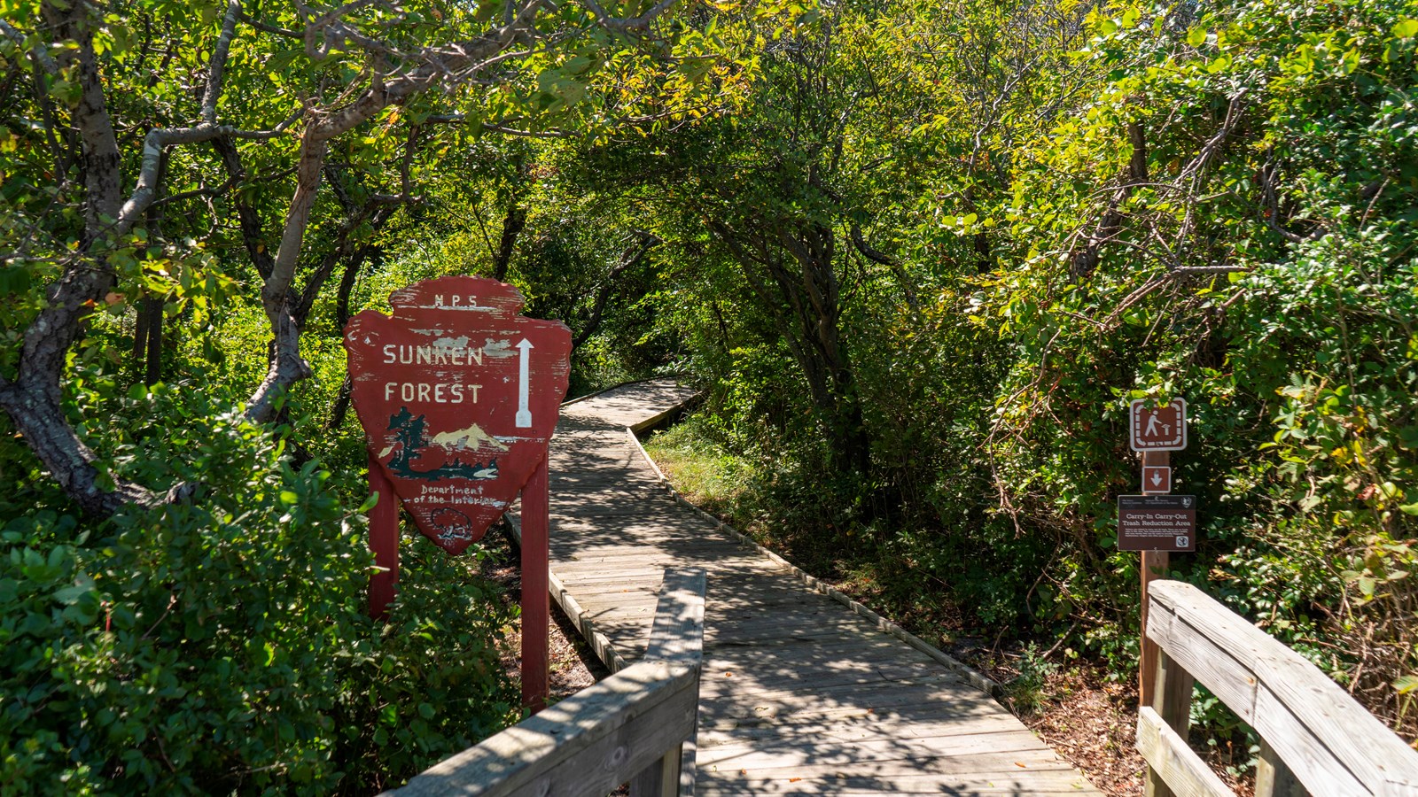 A trailhead in front of a forest trail reads